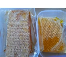 Madu Hutan Asli Sidikalang