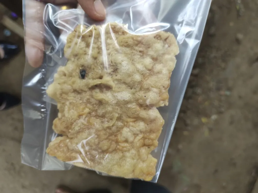 Tempe Goreng Aisya